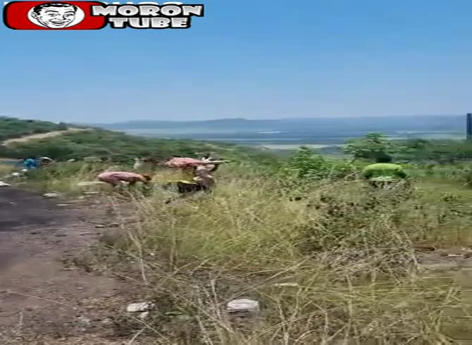 Video :A member of Doctors Without Borders was caught pilfering meat from a wrecked vehicle